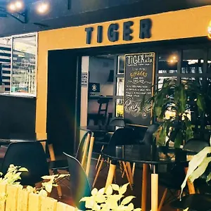 https://tiger-hostal.colombiamedellinhotels.com
